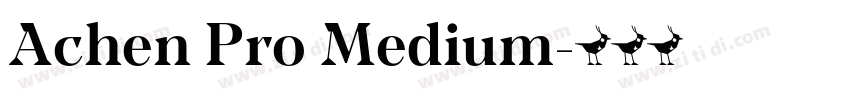 Achen Pro Medium字体转换 Achen Pro Medium字体转换